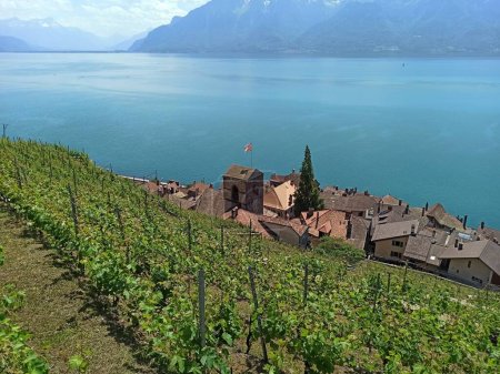 Photo for Picturesque swiss village in the terraced vineyards of Lavaux, and Geneva lake. Saint Saphorin village - Royalty Free Image