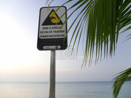 Téléchargez les photos : Deshaies, Guadeloupe, France - Février 2024 : Panneau d'évacuation du tsunami au-dessus de l'océan des Caraïbes et fronde de palmiers au crépuscule - en image libre de droit