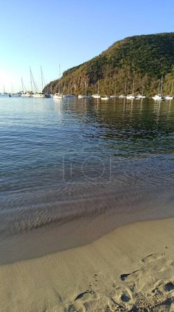 Photo for Deshaies beach and port view in vertical, guadeloupe - Royalty Free Image