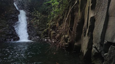 cascada paradis, cascada de selva en vieux habitants con columnas de basalto, bassde terre, guadeloupe