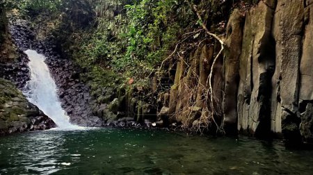 Kaskadenparadies, Dschungel-Wasserfall bei Vieux-Bewohnern mit Basalt-Orgelsäulen, Guadeloupe
