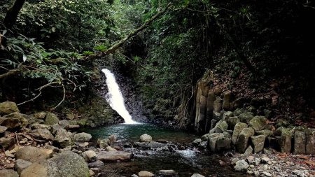 cascade paradis, beautiful waterfall, hidden jungle gem in vieux habitants, guadeloupe
