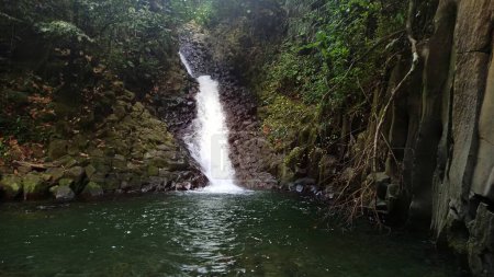 cascade paradis, waterfall in caribbean jungle in vieux habitants with basalt stones, guadeloupe