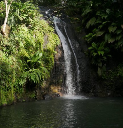 cascade de bis, tropical waterfall in the caribbean jungle, sainte rose, guadeloupe