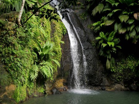 cascade de bis, tropical waterfall in the caribbean jungle, sainte rose, basse terre, guadeloupe