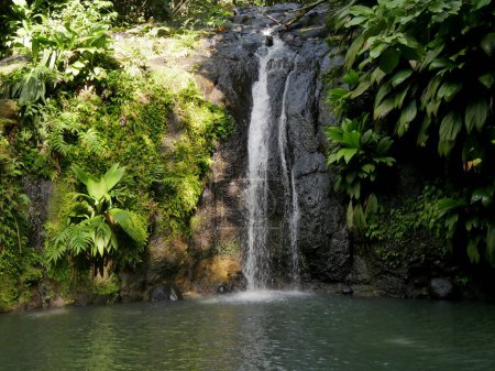 cascada de bis, cascada tropical en la selva caribeña, Guadalupe