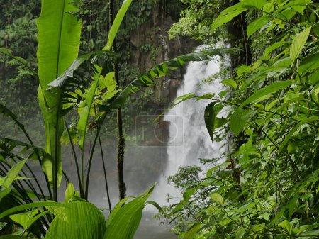 A stunning waterfall cascades through a lush green forest, surrounded by plants and flow of water. natural landscape of guadeloupe