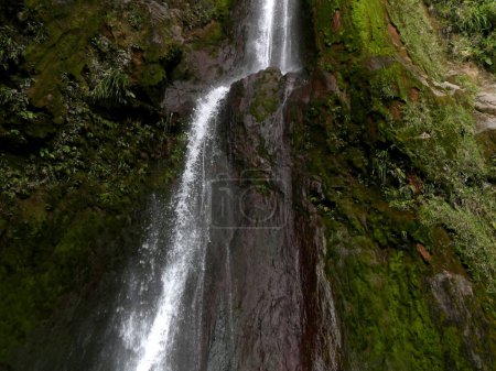 close up of chute du galion waterfall, volcanic cliff with moss, guadeloupe