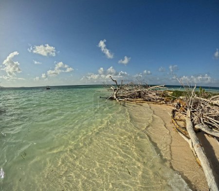ilet blanc, isla idílica en Grand cul de sac marin, Guadalupe. Playa de arena y madera en la pequeña isla desierta en el mar