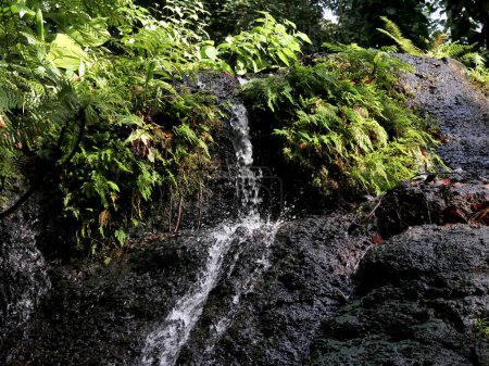 Stream of water splashing on rocks, outdoor, cascade de bis,  Sainte rose, guadeloupe