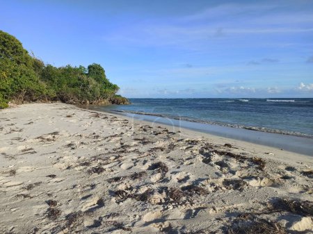 bois jolan beach in sainte anne, grande terre, Guadalupe. Paisaje idílico de playa desierta con olas marinas en tiempo soleado