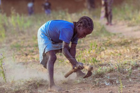 Téléchargez les photos : Abuja, Nigéria - 01 mars 2022 : Le travail des enfants dans les communautés africaines. Enfant travaillant dans une ferme - en image libre de droit