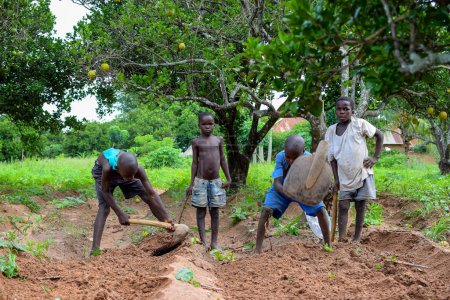 Photo for Abuja, Nigeria - June 12, 2023: group of African children digging the ground to sow plants - Royalty Free Image