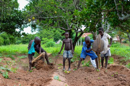 Foto de Abuja, Nigeria - 12 de junio de 2023: grupo de niños africanos cavando el suelo para sembrar plantas - Imagen libre de derechos