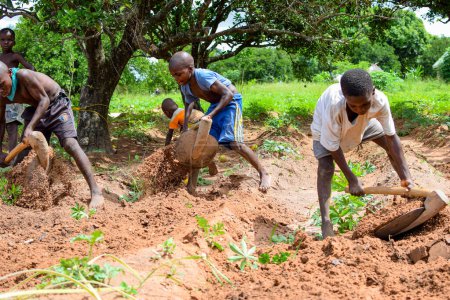 Téléchargez les photos : Abuja, Nigéria - 12 juin 2023 : un groupe d'enfants africains creuse le sol pour semer des plantes - en image libre de droit