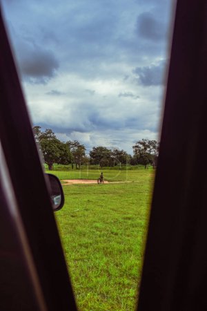 Téléchargez les photos : Arbres verts et ciel bleu dans la savane africaine, vue de la voiture - en image libre de droit