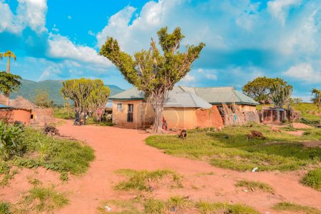 Téléchargez les photos : Jos East, État du Plateau - 12 mai 2021 : Le paysage d'un beau paysage de campagne par un après-midi ensoleillé dans une Afrique - en image libre de droit