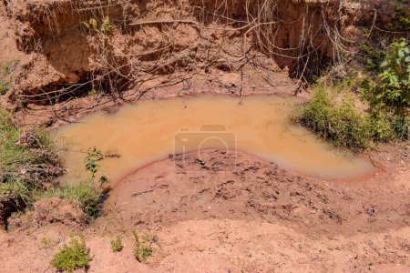 Photo for Jos East, Plateau State, Nigeria - May 12, 2021: Unclean and Contaminated Water from a Pond or Stream for Daily Consumption in Africa - Royalty Free Image