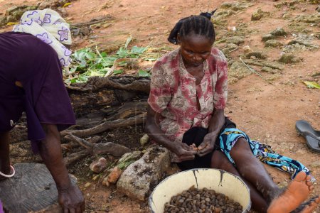 Téléchargez les photos : Opialu, État de Benue - Mars 6, 2021 : Les femmes africaines trient les graines de palmiste pour le traitement par un après-midi chaud - en image libre de droit