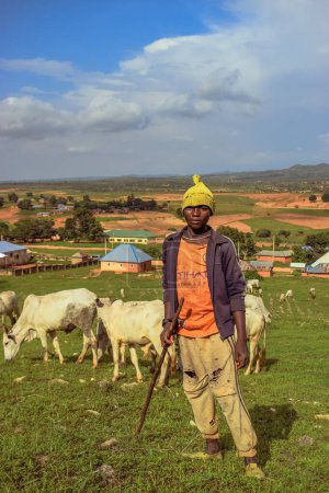 Téléchargez les photos : État du Plateau, Nigéria - 5 juin 2022 : Portrait d'un adolescent africain Vaches brouteuses - en image libre de droit