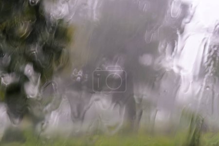 Photo for Rain through wind-screen of moving car. View through the car window in the rain - Royalty Free Image