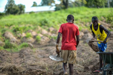 Foto de Abuja, Nigeria - junio, 2023: Retrato de niños africanos que trabajan en el campo con carretilla, cavando tierra - Imagen libre de derechos