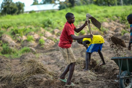 Téléchargez les photos : Abuja, Nigéria - Juin 2023 : Portrait d'enfants africains travaillant sur le terrain avec une brouette, creusant du sol - en image libre de droit