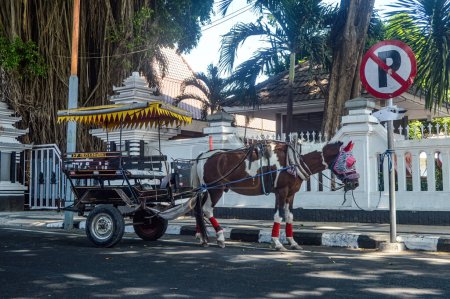 Téléchargez les photos : Un buggy avec un cheval qui a été arrêté sur le bord de la route juste en face d'un panneau de signalisation a été interdit de stationnement - en image libre de droit
