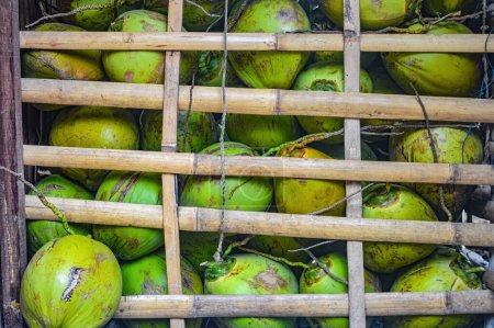 Foto de Pila de cocos verdes jóvenes en una cesta de bambú - Imagen libre de derechos