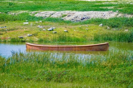 a wooden boat on a small river overgrown with grass