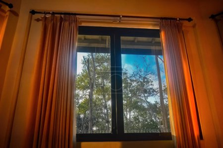Photo for Forest view from inside a window with curtains in the morning - Royalty Free Image