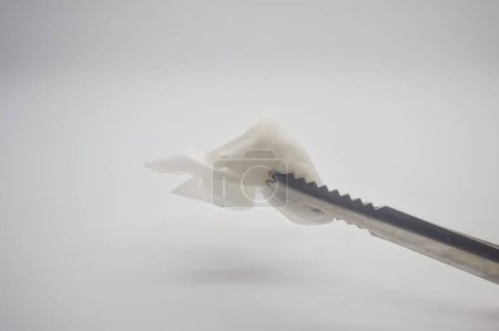 a stainless steel food tong that clamps the tissue isolated on a white background