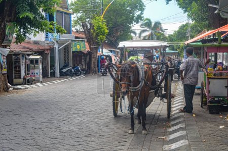 Téléchargez les photos : Un cheval tirant une charrette s'arrêtait sur le bord de la route, Indonésie, 27 janvier 2024. - en image libre de droit