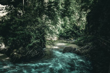 Foto de Verde esmeralda de la naturaleza - Aguas del desfiladero de Vintgar, Eslovenia - Imagen libre de derechos