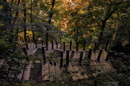 Téléchargez les photos : Escalier dans les bois - Couleurs d'automne sur les collines de Bled, Slovénie - en image libre de droit