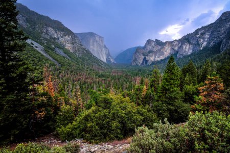 The Famous Tunnel View of Yosemite National Park - California, Estados Unidos