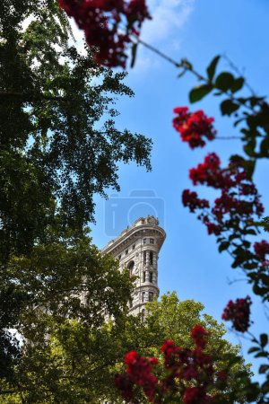 Framed View of Flatiron Building from Madison Square Park - Manhattan, New York City