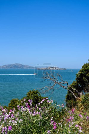 Blick von Fort Mason auf die Insel Alcatraz in der Bucht von San Francisco, Kalifornien