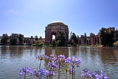 Flores junto al Palacio de Bellas Artes - San Francisco, California