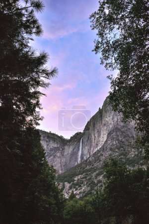 Die obere Kaskade der Yosemite-Fälle zwischen den Bäumen in der Dämmerung - Yosemite-Nationalpark, Kalifornien