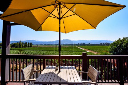 Téléchargez les photos : Table avec vue sur un beau vignoble lors d'une journée d'été - Napa Valley, Californie - en image libre de droit