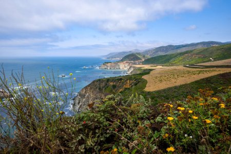 Coastal Landscape of the Big Sur - California, USA