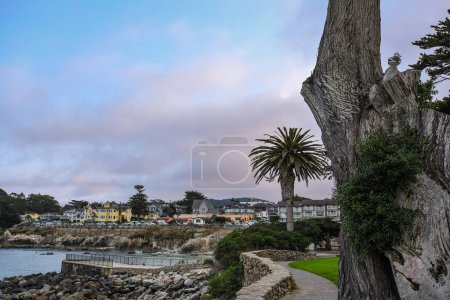 Bunte Küstenhäuser vom Lovers Point Park in Monterey Bay aus gesehen - Pacific Grove, Kalifornien