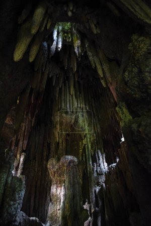 Stalactites à l'intérieur de la grotte du Parque Lage à Rio de Janeiro, Brésil