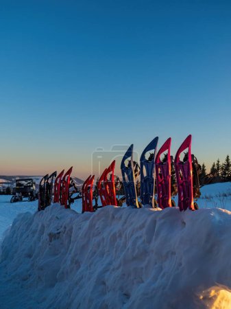 Photo for Snowshoes left outside plucked into the snow during sunset winter blue sky no people - Royalty Free Image