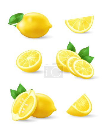 Set of realistic lemon with green leaf, whole and sliced, sour fresh fruits, bright yellow peel, lemons vector illustration isolated on white background. Juicy ripe citrus collection
