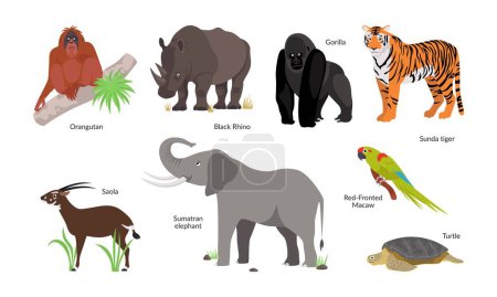Eine Reihe gefährdeter Tierarten der Welt. Tiger, Spitzmaulnashorn, Saola, Orang-Utan und andere. Vektorflache Illustration