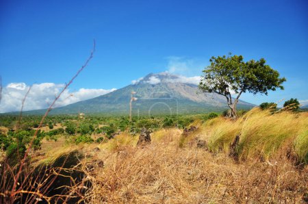 Téléchargez les photos : East Bali Savana et Mount Agung, Bali Indonésie - en image libre de droit