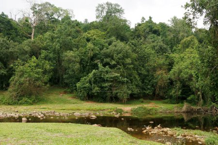 natural beautiful forest and river with round stones in kerala