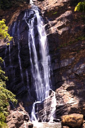 Foto de Vista profunda de la cascada del bosque. Cascada del bosque arroyo - Imagen libre de derechos